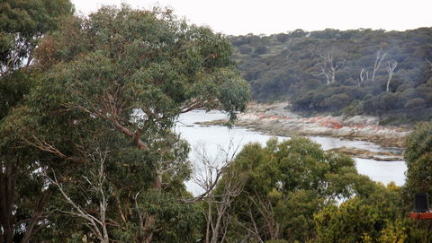 BAY OF FIRES SEACHANGE Ocean Frontage - Holiday Jervis Bay 15