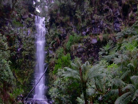 Great Ocean Road Resort - Holiday Jervis Bay 16