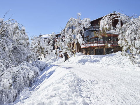 Astra Falls Creek - Holiday Jervis Bay 3