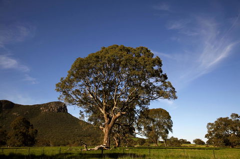 Dunkeld Studio Accommodation - Holiday Jervis Bay 23