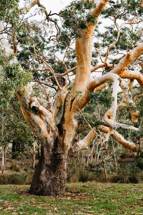 Dunkeld Studio Accommodation - Holiday Jervis Bay 22