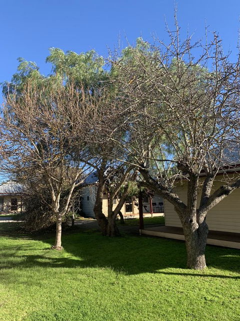 Dunkeld Studio Accommodation - Holiday Jervis Bay 4