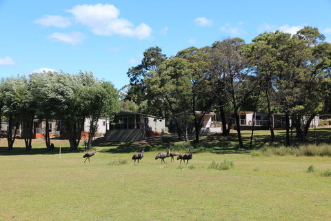 Halls Gap Lakeside Tourist Park - Holiday Jervis Bay 1