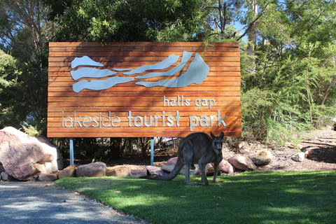 Halls Gap Lakeside Tourist Park - Holiday Jervis Bay 3