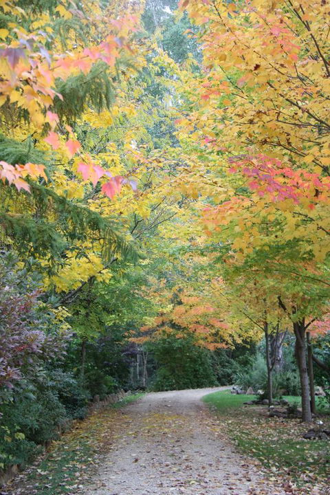 Shady Brook Cottages - Holiday Jervis Bay 12