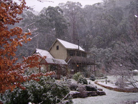 Shady Brook Cottages - Holiday Jervis Bay 24