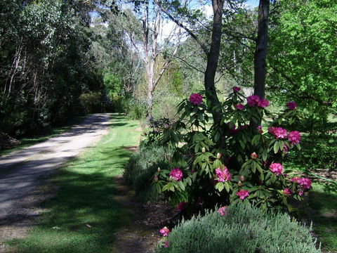Shady Brook Cottages - Holiday Jervis Bay 15