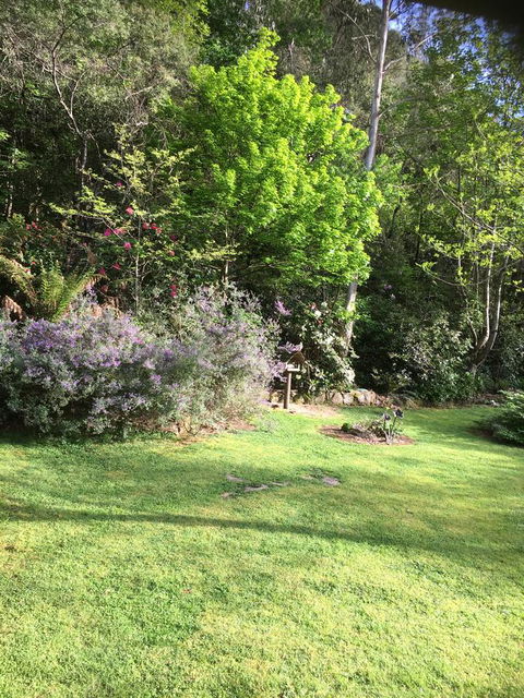 Shady Brook Cottages - Holiday Jervis Bay 6