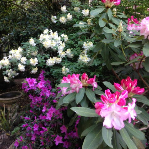 Shady Brook Cottages - Holiday Jervis Bay 10