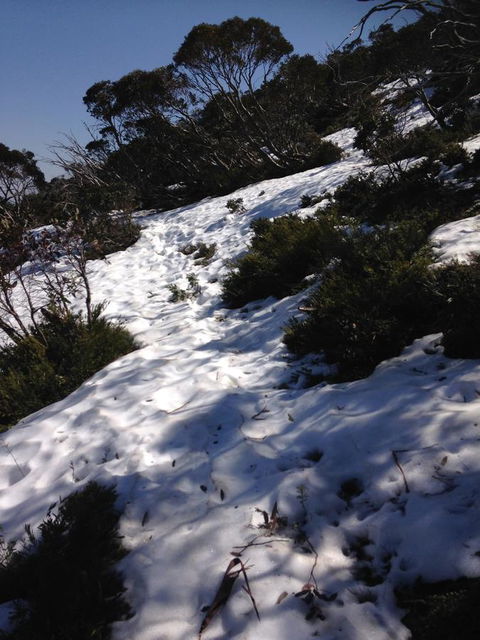 Shady Brook Cottages - Holiday Jervis Bay 11