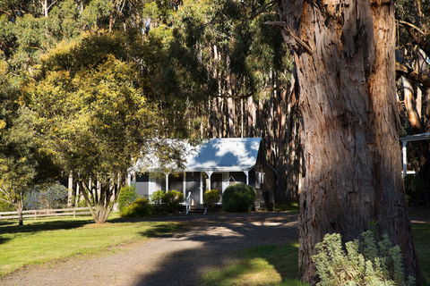 Bodhi Daylesford - Holiday Jervis Bay 8
