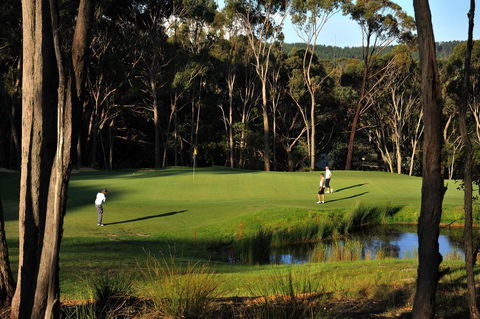 RACV Goldfields Resort - Holiday Jervis Bay 12