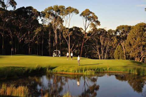 RACV Goldfields Resort - Holiday Jervis Bay 31