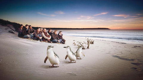 C-Scape Water Front Apartment - Holiday Jervis Bay 16