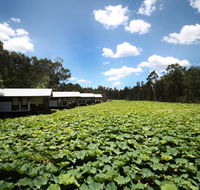 The Boathouses at Leaves  Fishes - Holiday Jervis Bay