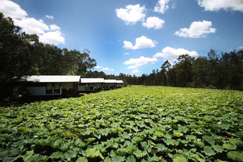 The Boathouses At Leaves & Fishes - Holiday Jervis Bay 0