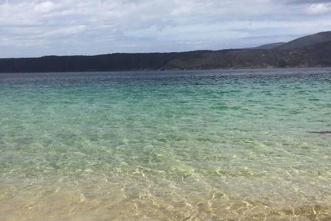 The Cove... On The Rocks At Port Arthur - Holiday Jervis Bay 1