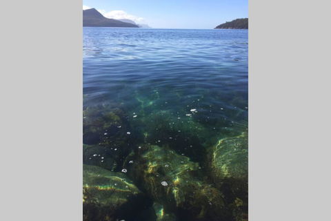 The Cove... On The Rocks At Port Arthur - Holiday Jervis Bay 3
