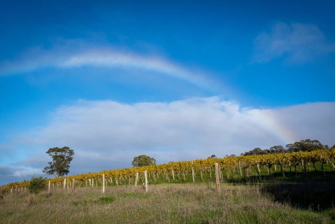 Triple Creek Guest House - Barossa Region - Holiday Jervis Bay 2