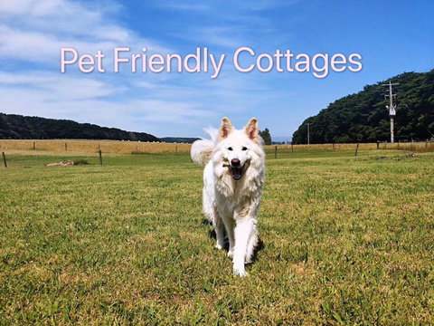 Twelve Apostles Motel & Country Retreat - Holiday Jervis Bay 2