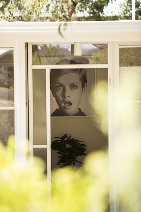 Twiggy @ Anglesea - Holiday Jervis Bay 3