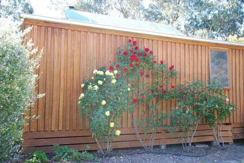 Bluegum Ridge Cottages - Holiday Jervis Bay 23