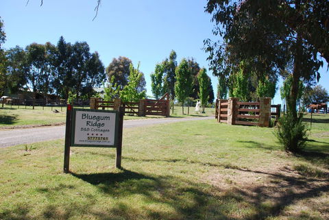 Bluegum Ridge Cottages - Holiday Jervis Bay 1