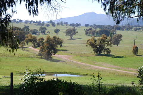 Bluegum Ridge Cottages - Holiday Jervis Bay 31