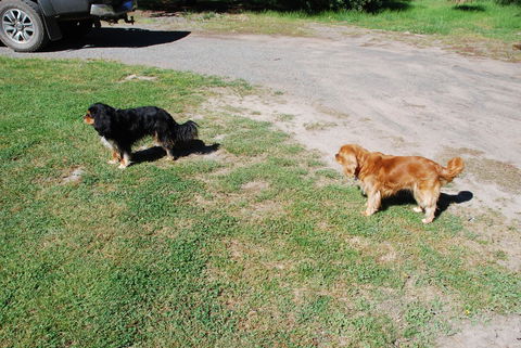 Bluegum Ridge Cottages - Holiday Jervis Bay 6