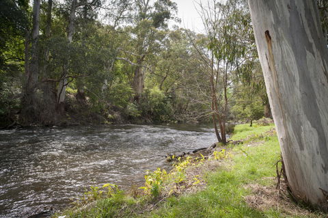 Oscar\'s On The Yarra - Holiday Jervis Bay 23