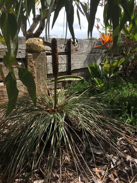 The PC Cottage - Holiday Jervis Bay 32