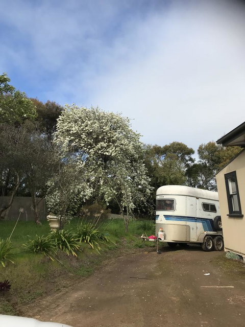 Hillâ€™s Creek Holiday Home - Holiday Jervis Bay 6