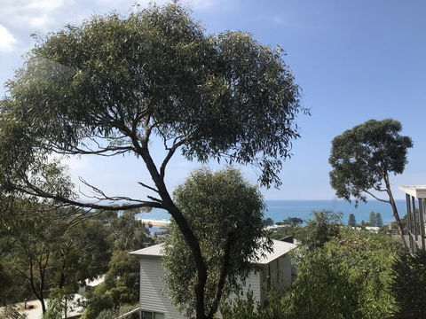 Lorne Sea View Terrace House - Holiday Jervis Bay 26