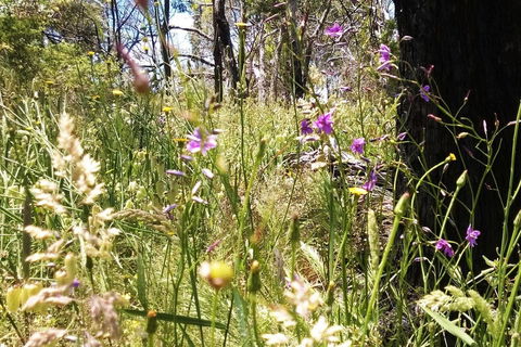 Grampians Pomonal Cottages - Holiday Jervis Bay 31