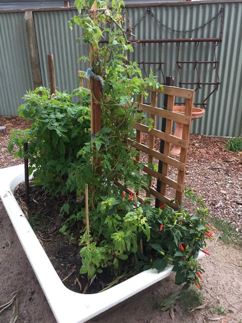 Grampians Pomonal Cottages - Holiday Jervis Bay 28