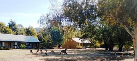 Grampians Pomonal Cottages - Holiday Jervis Bay 6