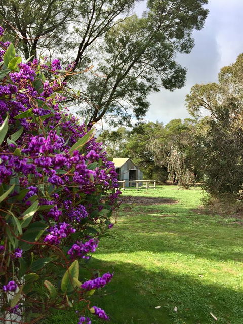 Grampians Pomonal Cottages - Holiday Jervis Bay 21