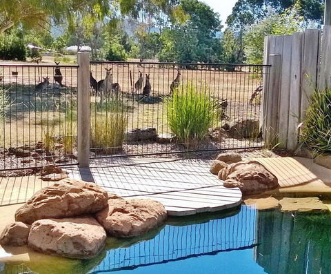 Grampians Pomonal Cottages - Holiday Jervis Bay 24