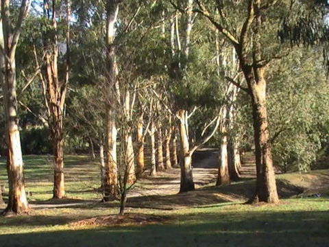 Kangaroo Manor - Holiday Jervis Bay 21
