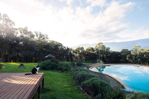Kangaroo Manor - Holiday Jervis Bay 23
