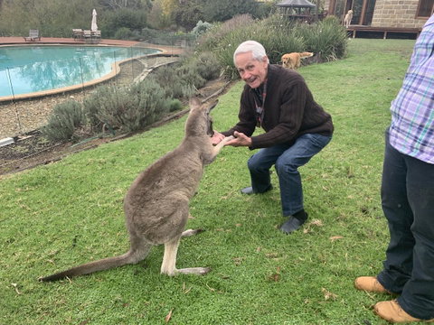 Kangaroo Manor - Holiday Jervis Bay 13