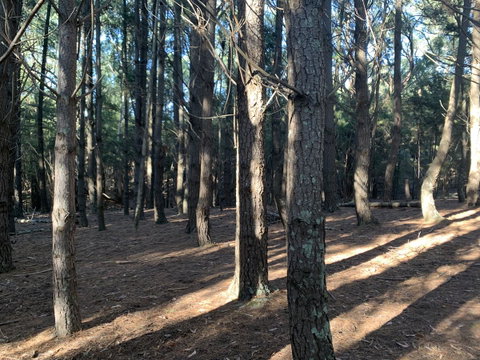 Kangaroo Manor - Holiday Jervis Bay 4