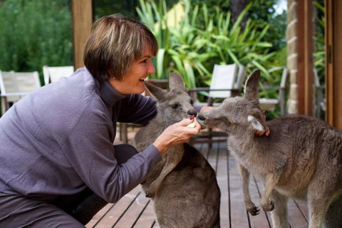 Kangaroo Manor - Holiday Jervis Bay 20