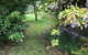 Lorelei Bed & Breakfast - thumb 10