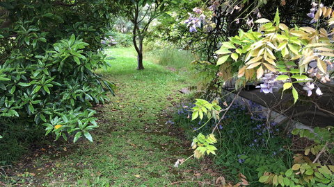 Lorelei Bed & Breakfast - Holiday Jervis Bay 10