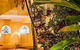 Villa San Michele (Official) - thumb 1