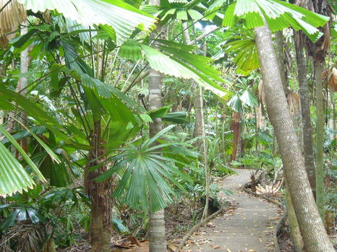 Port Douglas Retreat - Holiday Jervis Bay 18