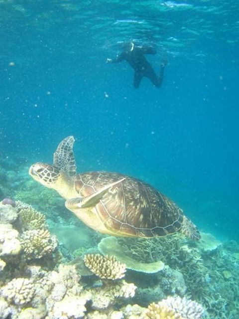 Port Douglas Retreat - Holiday Jervis Bay 11
