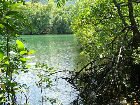 Port Douglas Retreat - Holiday Jervis Bay 17
