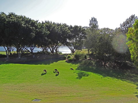 Waterfront Resort Villa With Buggy - Holiday Jervis Bay 32